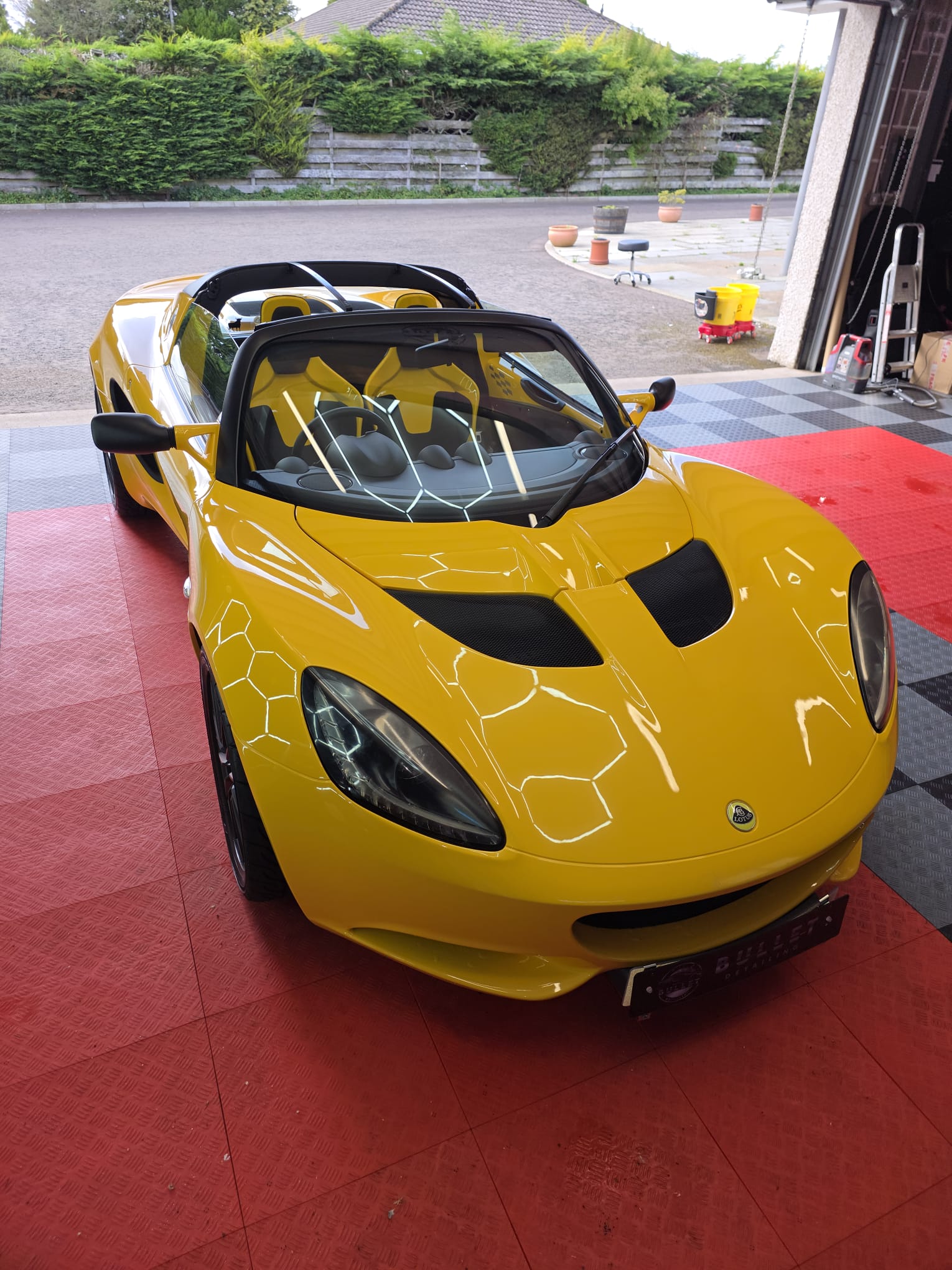 Lotus