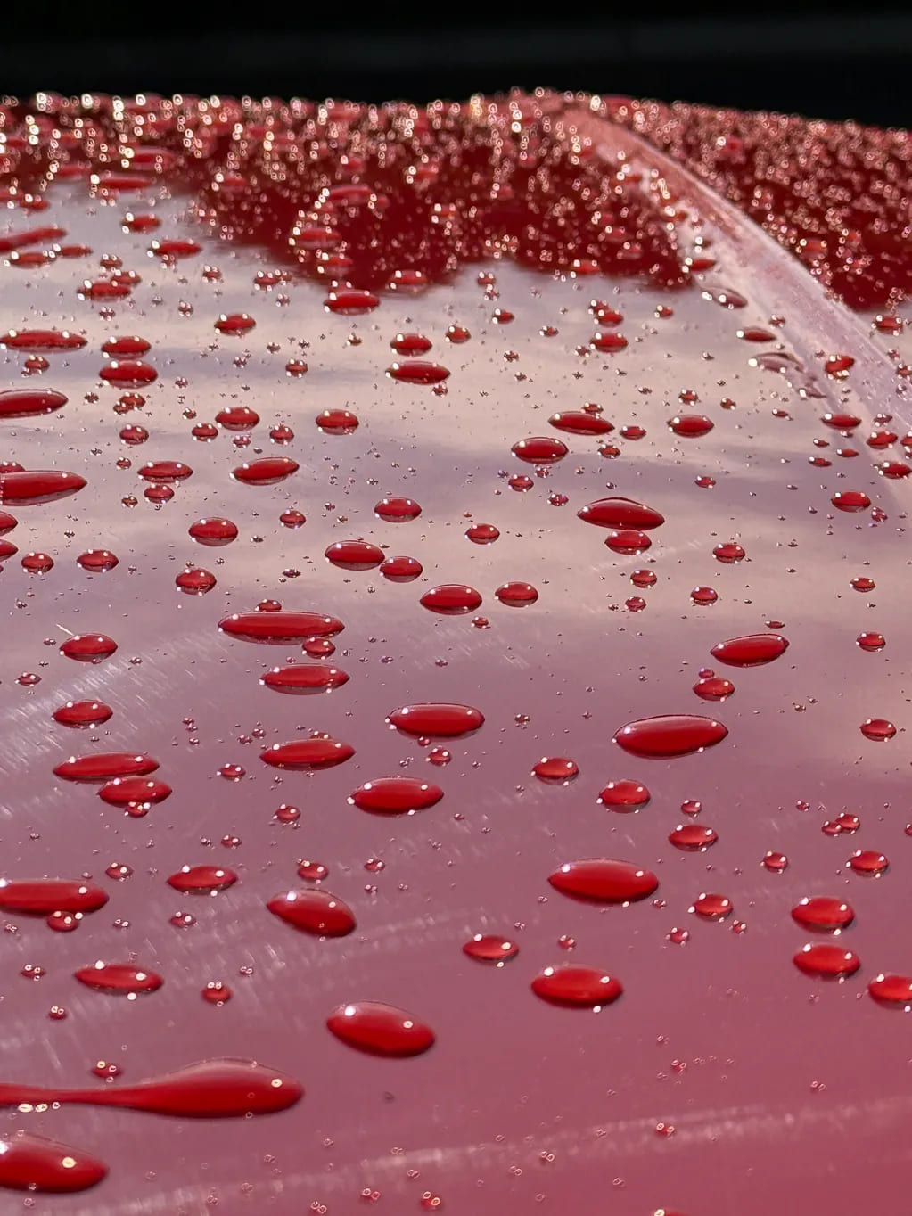 rs=w_1023,h_1364,cg_true (2) rs=w_1023,h_1364,cg_true (2)